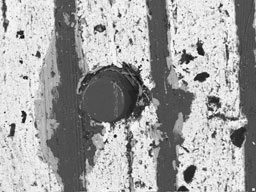 Debris in bearing material