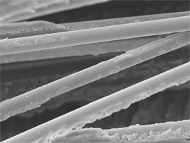 SEM image of glass fibres