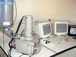 Scanning electron microscope